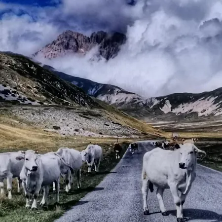 Casa Mammuccia Holiday home *