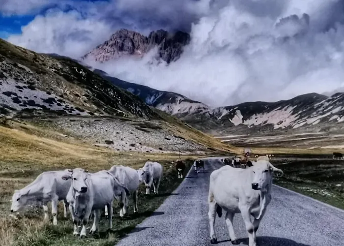 Casa Mammuccia Дом отдыха *